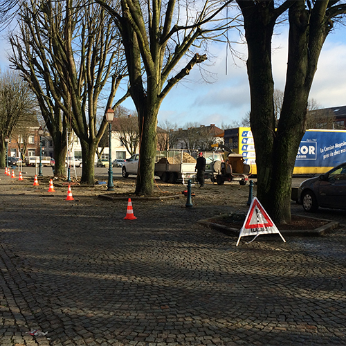 taille douce arbres place chappelle lez herlemont